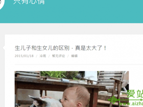 免费模板修改而来的极简主义wordpress主题lingonberry